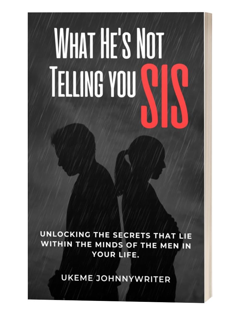 What He's Not Telling You Sis book cover